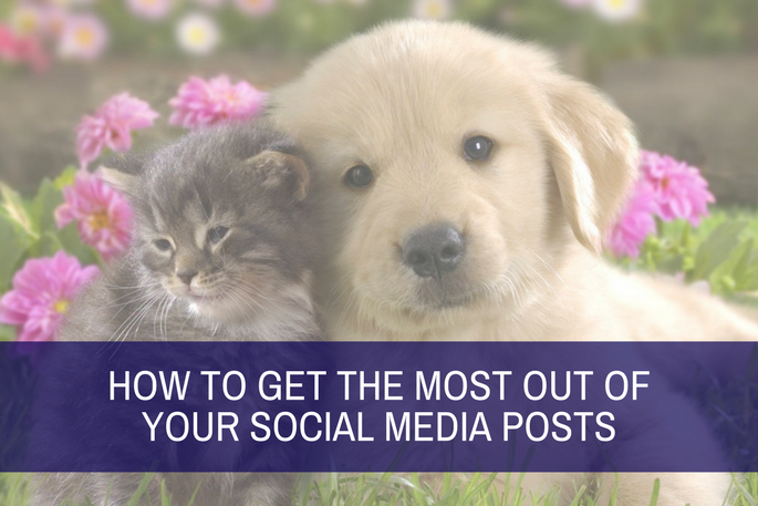 Spotlight: How to Get Actual Engagement on Social Media Posts